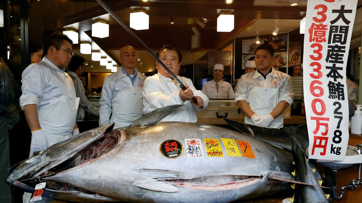 Un atún de 278 kg en un restaurante en Tokio, Japón. (EFE)