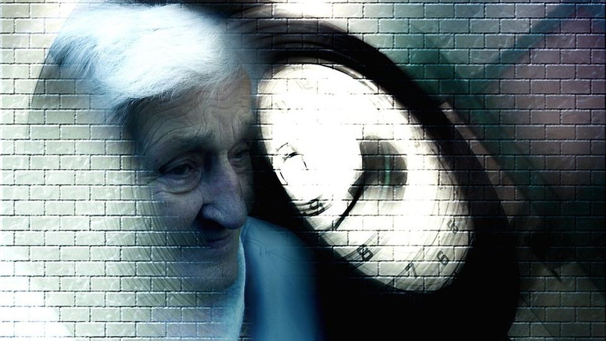Descubren un mecanismo para evitar la pérdida de memoria en el alzhéimer