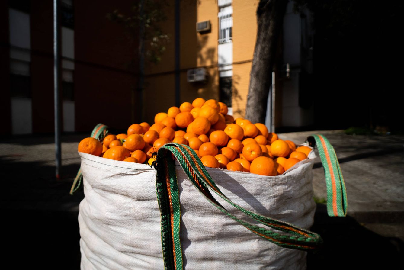 Un saco con naranjas en plena avenida de la barriada. (Fernando Ruso)