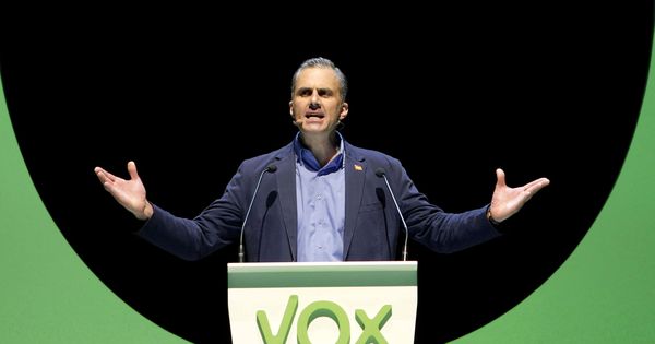 Foto: El secretario general de Vox, Javier Ortega Smith. (EFE)
