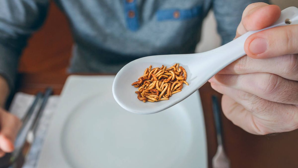 Un colegio americano ofrece insectos para comer a sus alumnos en la clase de cambio climático