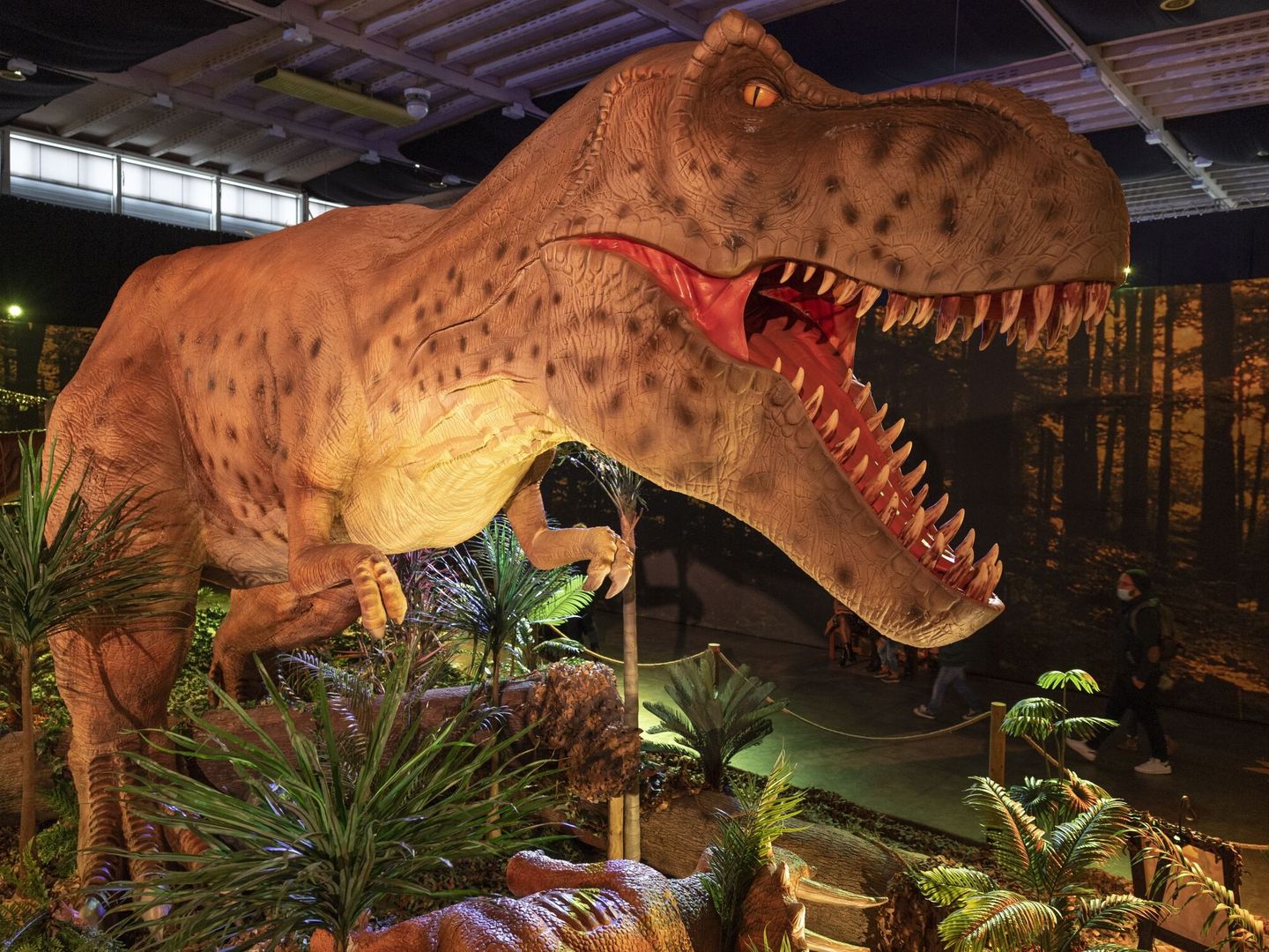 Recreación de un Tyrannosaurus Rex (EFE EPA Salvatore Di Nolfi)