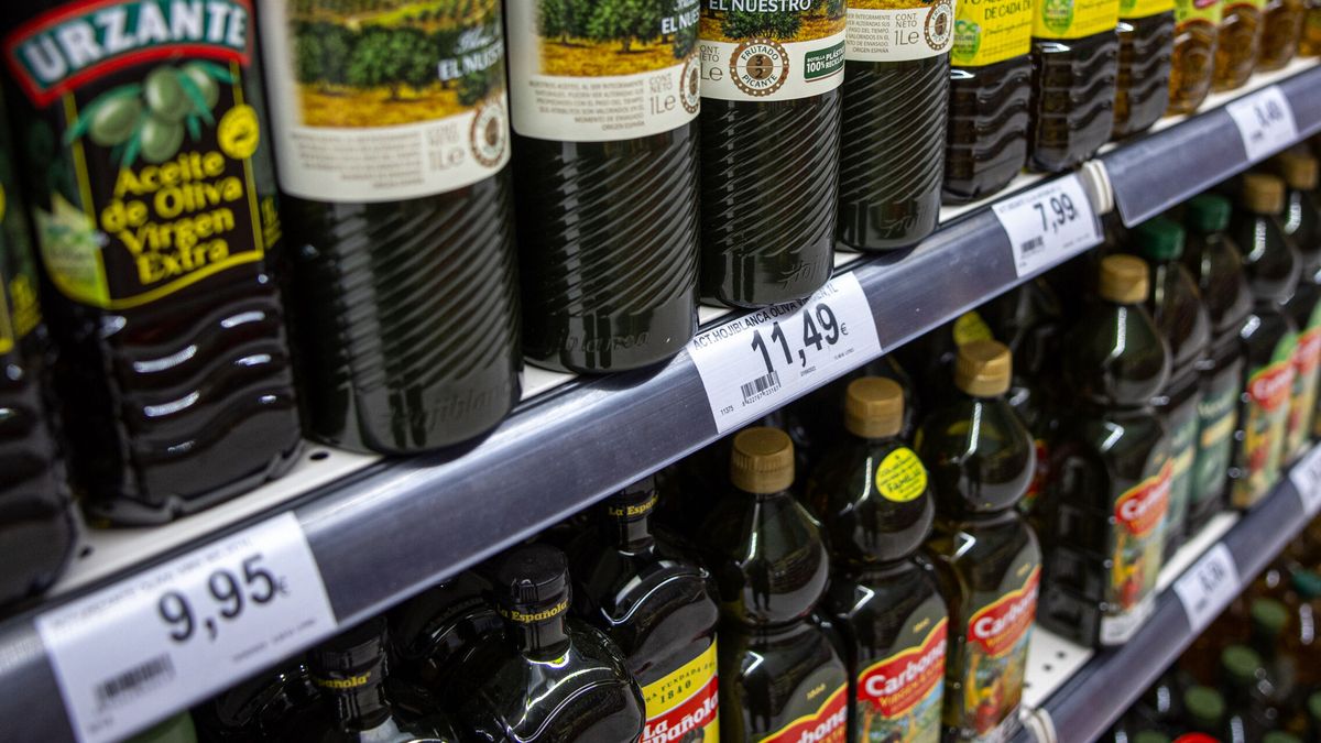 La eliminación del IVA para el aceite de oliva se atasca en medio de la incertidumbre política