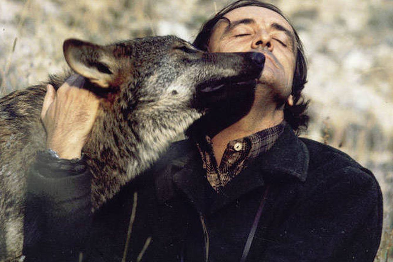 El gran naturalista y divulgador ambiental Félix Rodríguez de la Fuente ha sido el mayor defensor del lobo ibérico. (TVE)