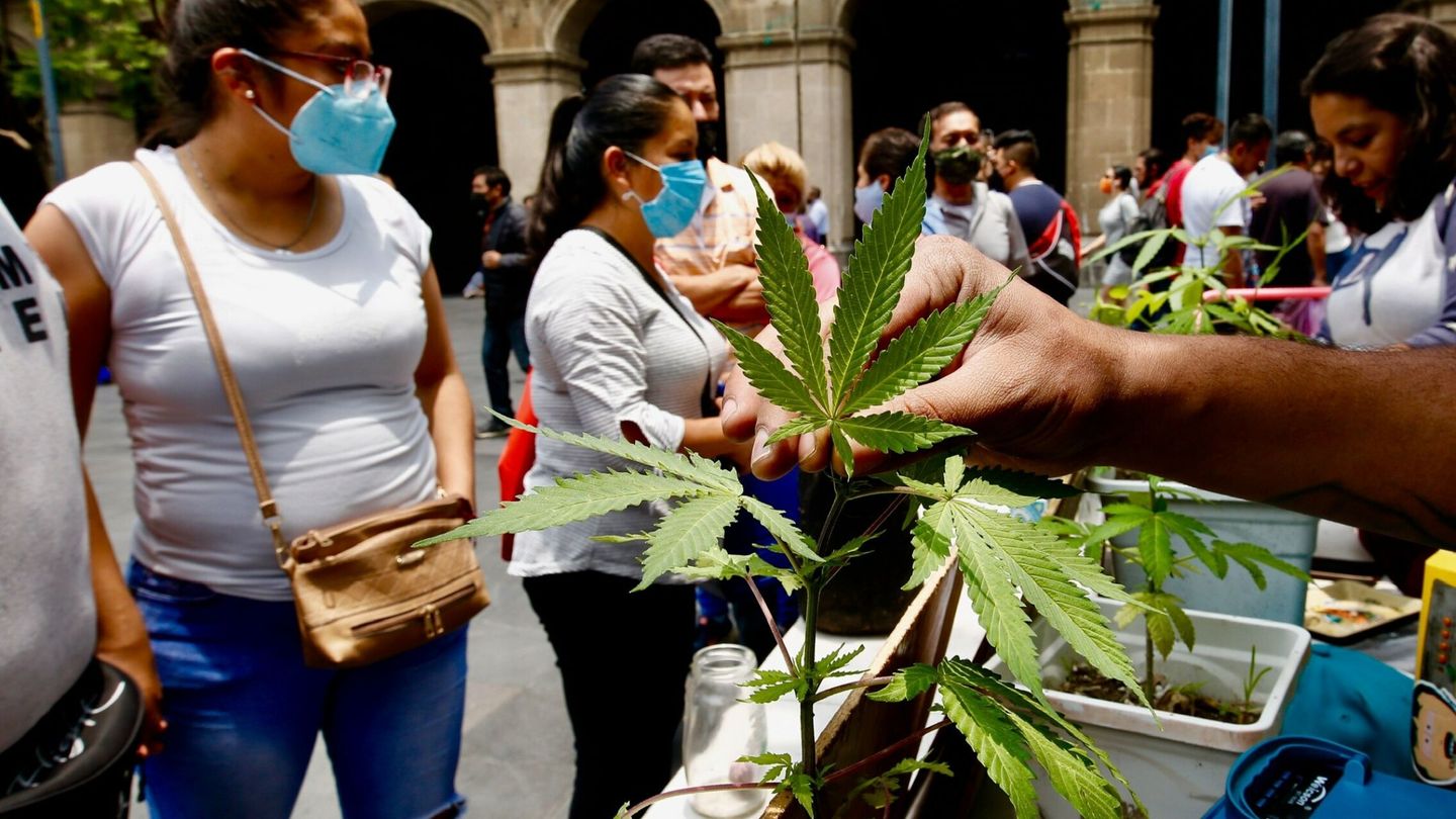 Manifestación a favor del consumo de la marihuana en la Ciudad de México. (EFE)