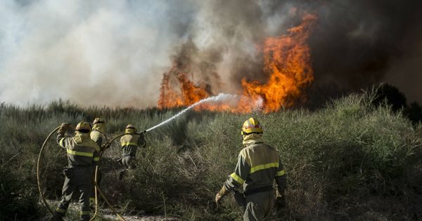 Foto: Brigadistas sofocan las llamas de uno de los incendios en O Xurés. (Foto: Brais Lorenzo)