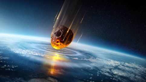  Cómo sobrevivieron las cucarachas al asteroide que mató a los dinosaurios