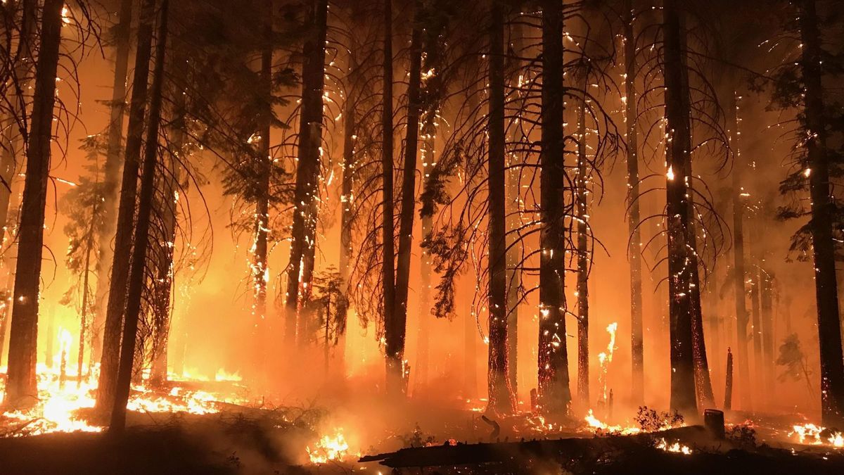 La mayor eléctrica de California firma la bancarrota por las demandas de Camp Fire