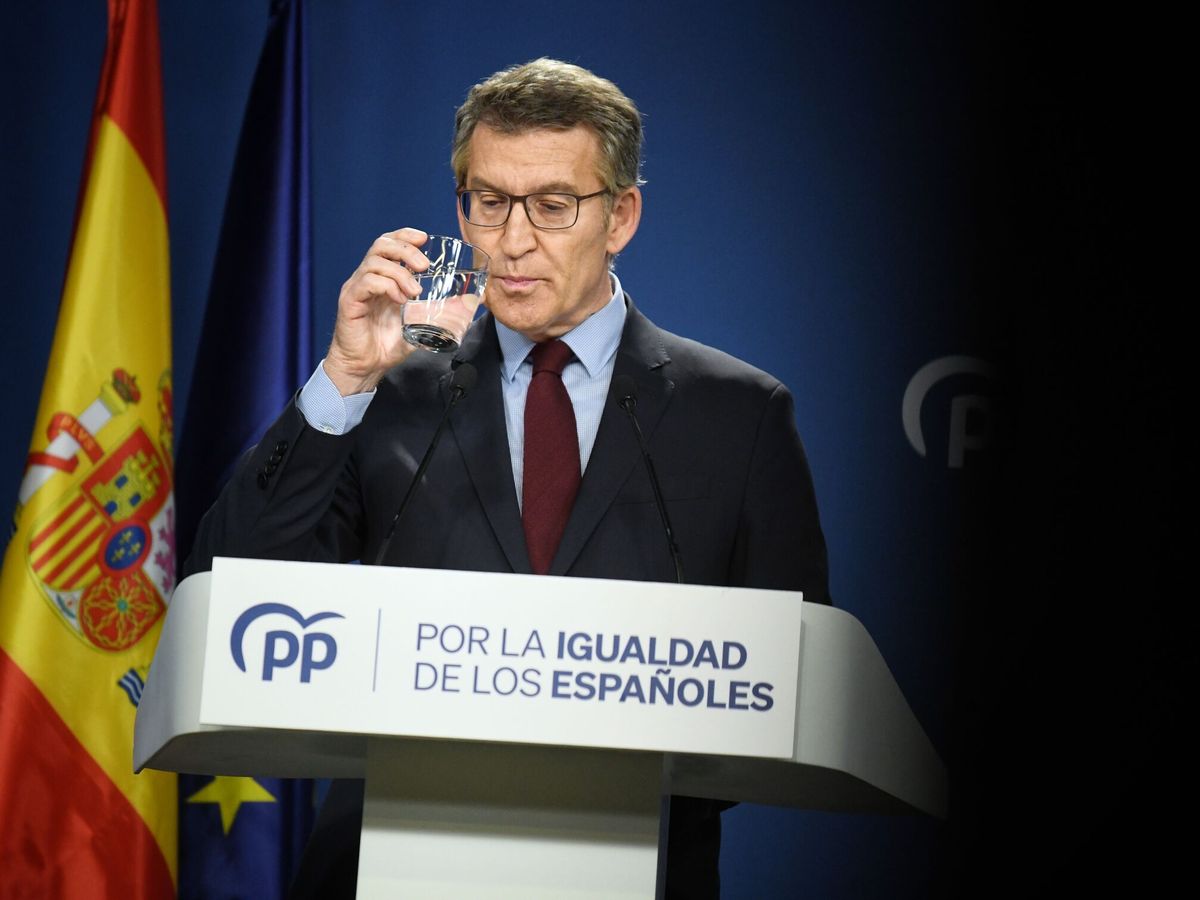 Foto: El líder del PP, Alberto Núñez Feijóo. (Europa Press/Fernando Sánchez)