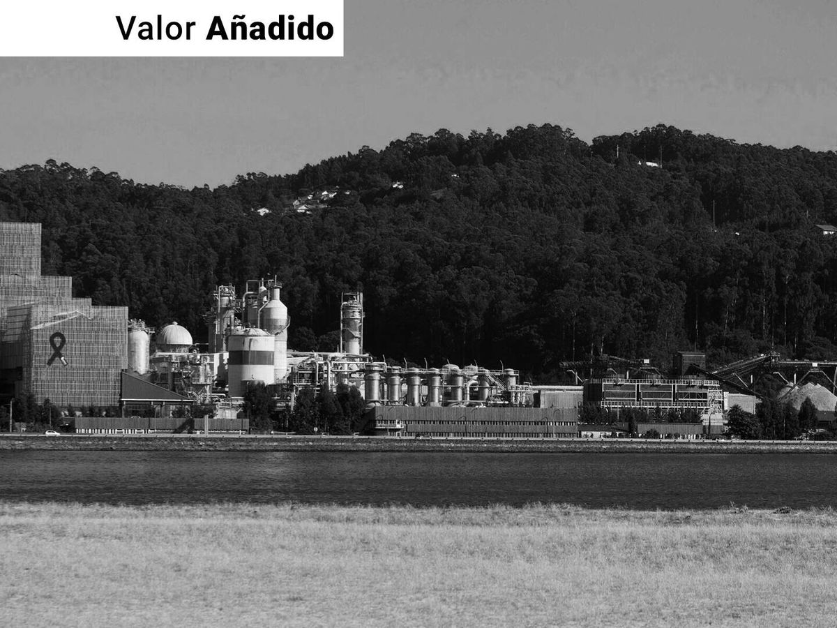 Foto: Fábrica de Ence en la ría de Pontevedra. (EC)