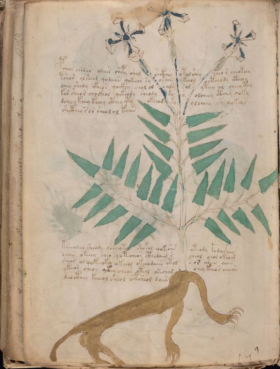 El manuscrito Voynich.