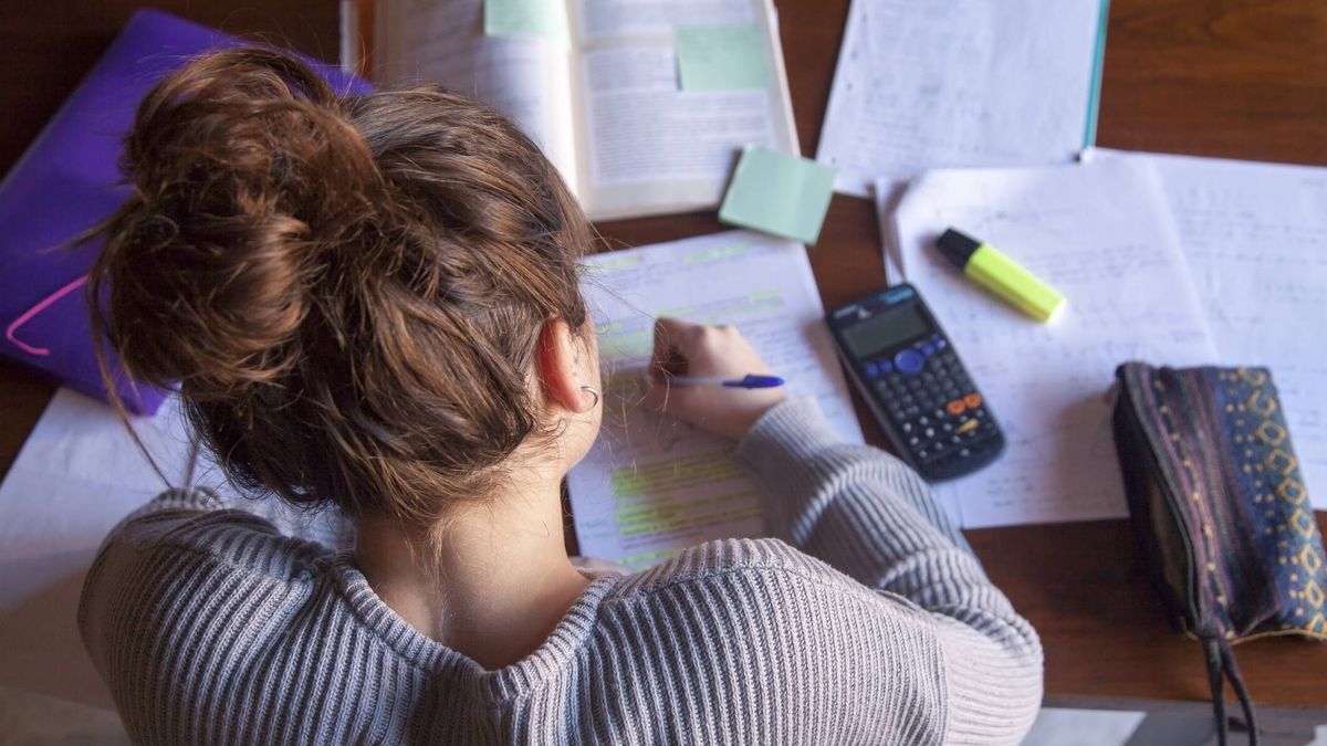 ¿Por qué es tan difícil convencer a un adolescente de que haga sus deberes?