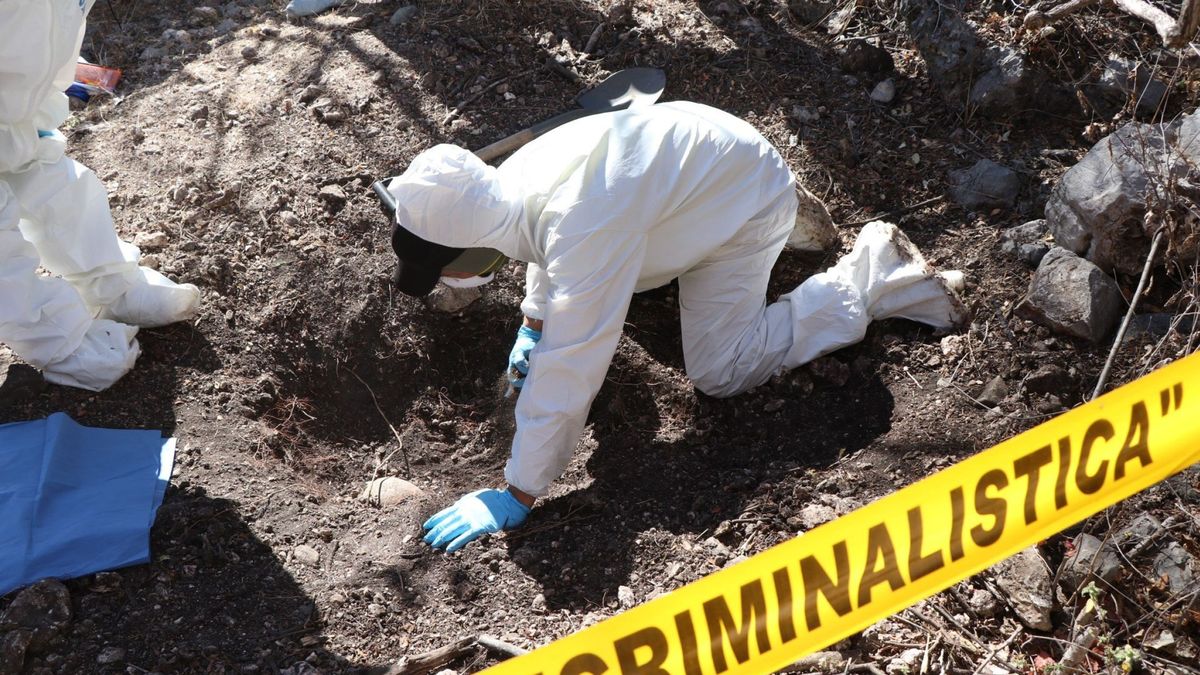 Encuentran 119 bolsas con restos humanos en una fosa clandestina en México 
