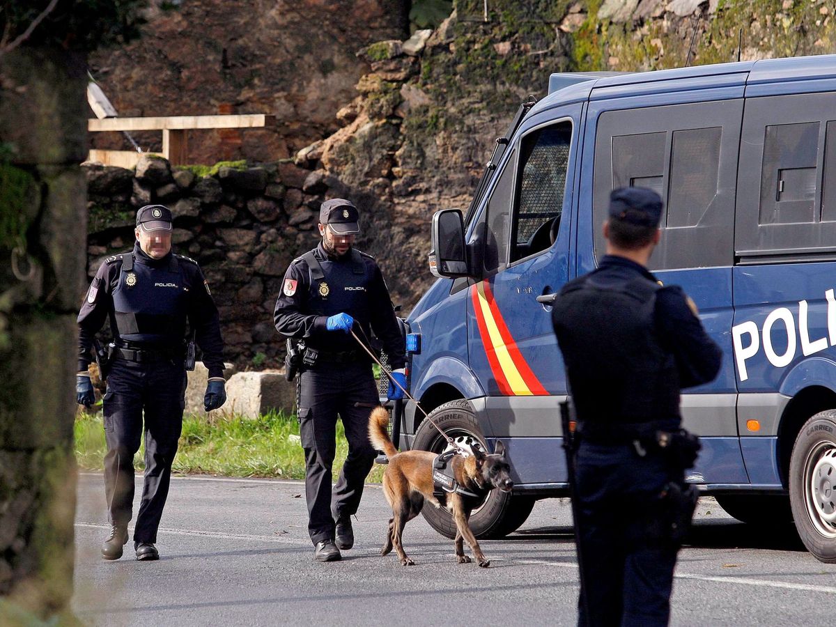Foto: Agentes de la Policía Nacional en A Coruña. (EFE)
