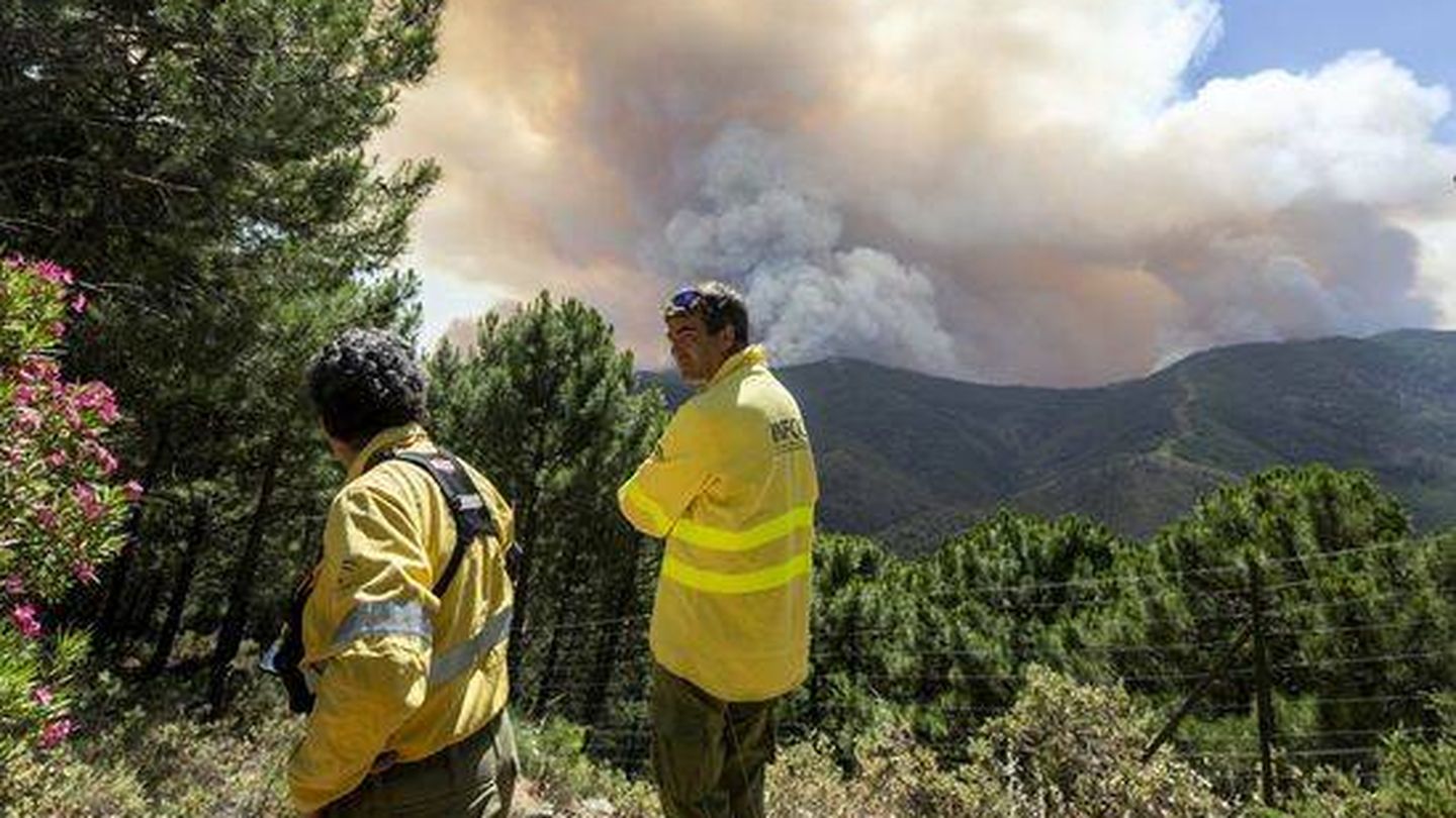 Uno de los incendios de este verano en la sierra de Málaga. (EFE)