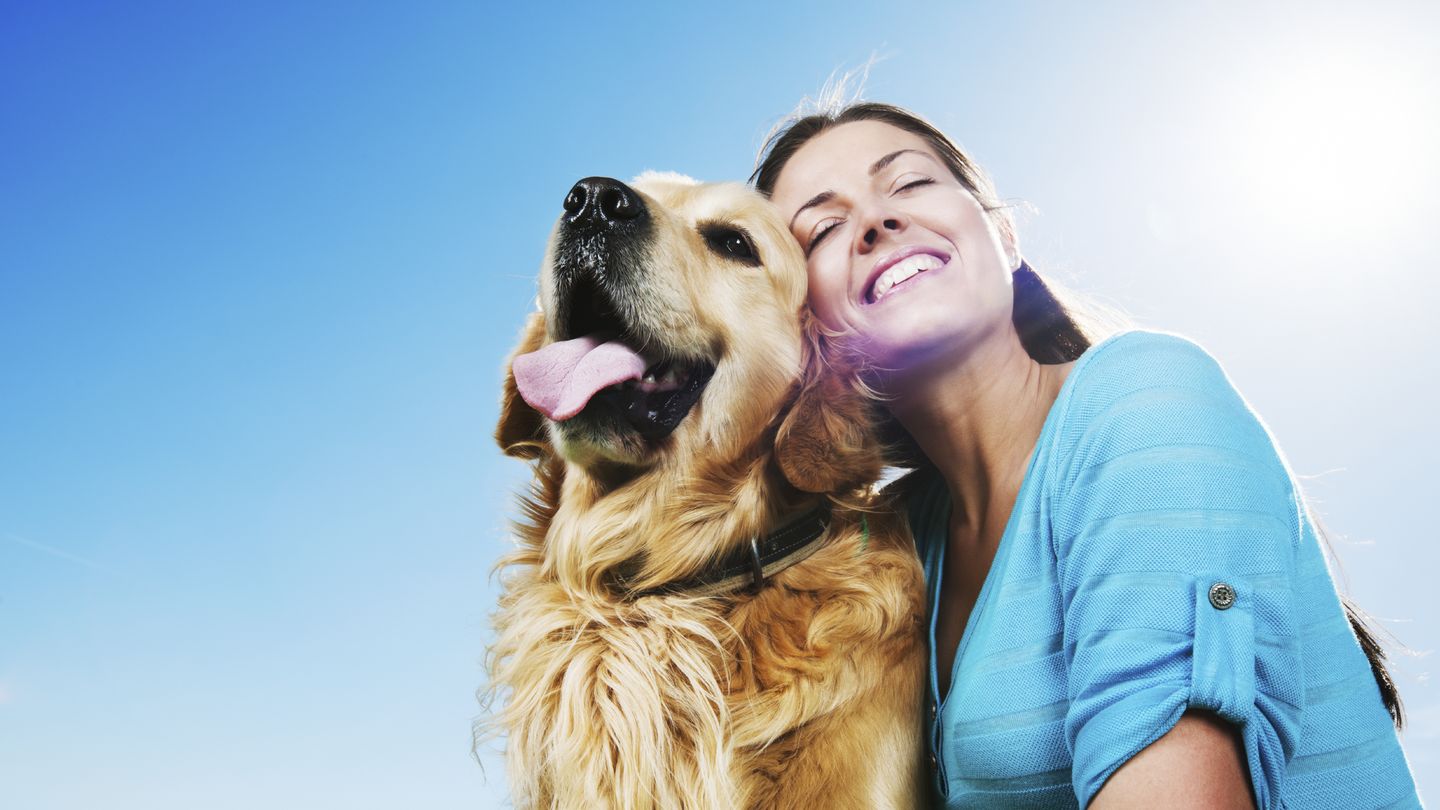 Disfruta del sol en vacaciones junto a tu perro (iStock)