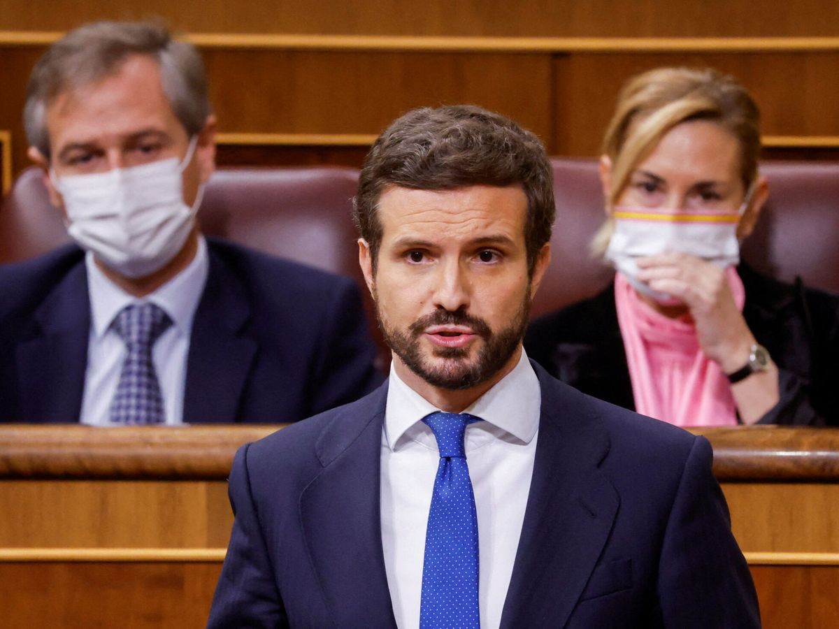 Foto: El presidente del PP, Pablo Casado. (Reuters/Juan Medina)
