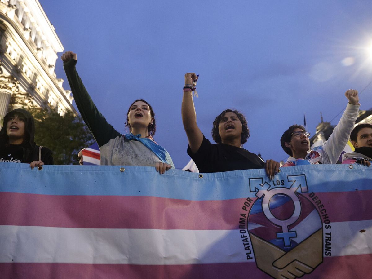 Foto: Manifestación a favor de los derechos de las personas trans. (EFE/Daniel González)