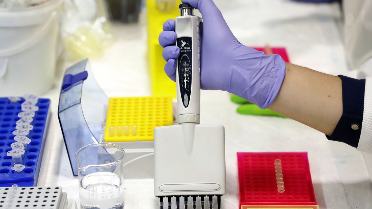 Crean una nueva tecnología que detecta 13 tipos de cáncer con una gota de sangre