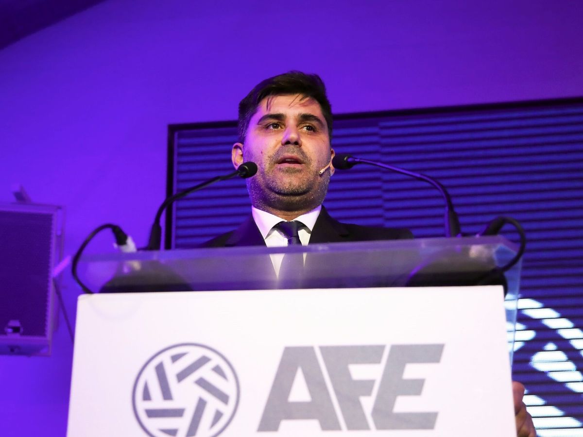 Foto: El presidente de AFE, David Aganzo. (EFE/David Fernández)