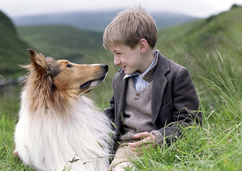 Foto: Fotograma del filme sobre 'Lassie' de 2005 