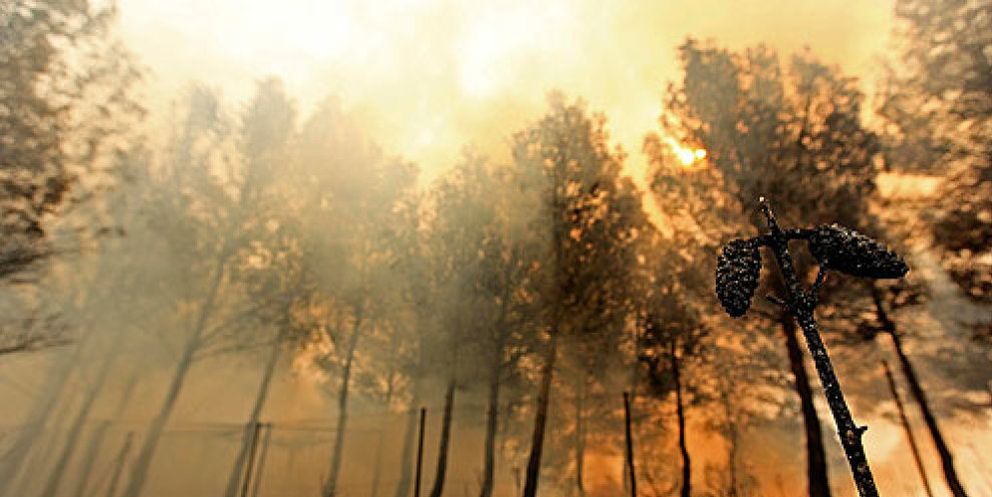 Foto: Los parados podrán ser llamados a colaborar en zonas afectadas por incendios