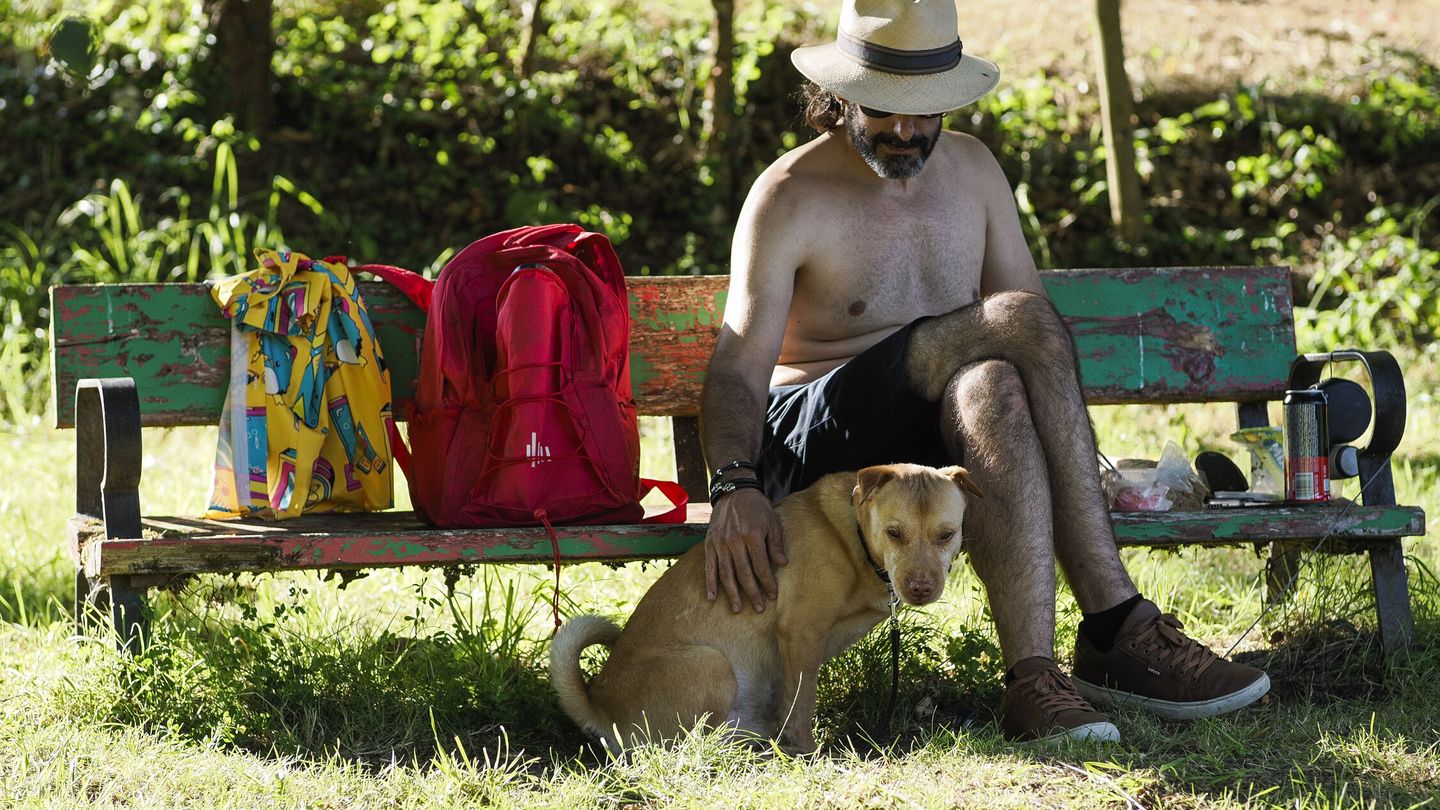 Un perro y su dueño descansan a la sombra (Eliseo Trigo/EFE) 