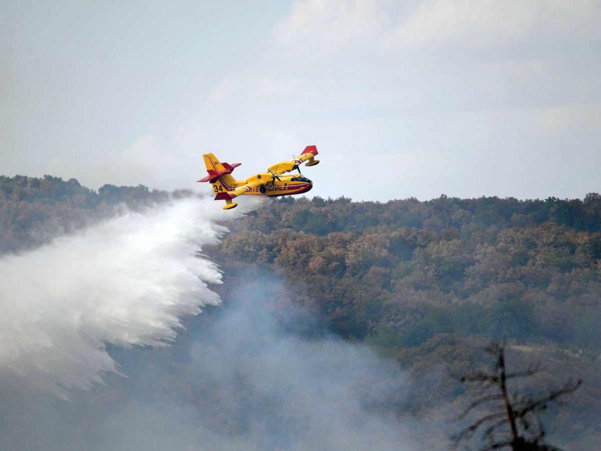 Foto: Labores para sofocar las llamas de los incendios en Evros, Grecia, en septiembre de 2023. (Dimitris Alexoudis/EFE) 