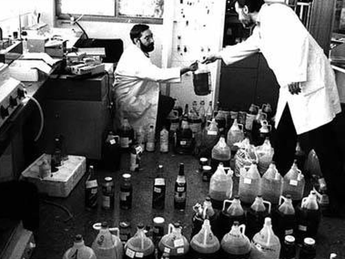 Foto: Las garrafas del síndrome tóxico del aceite de colza