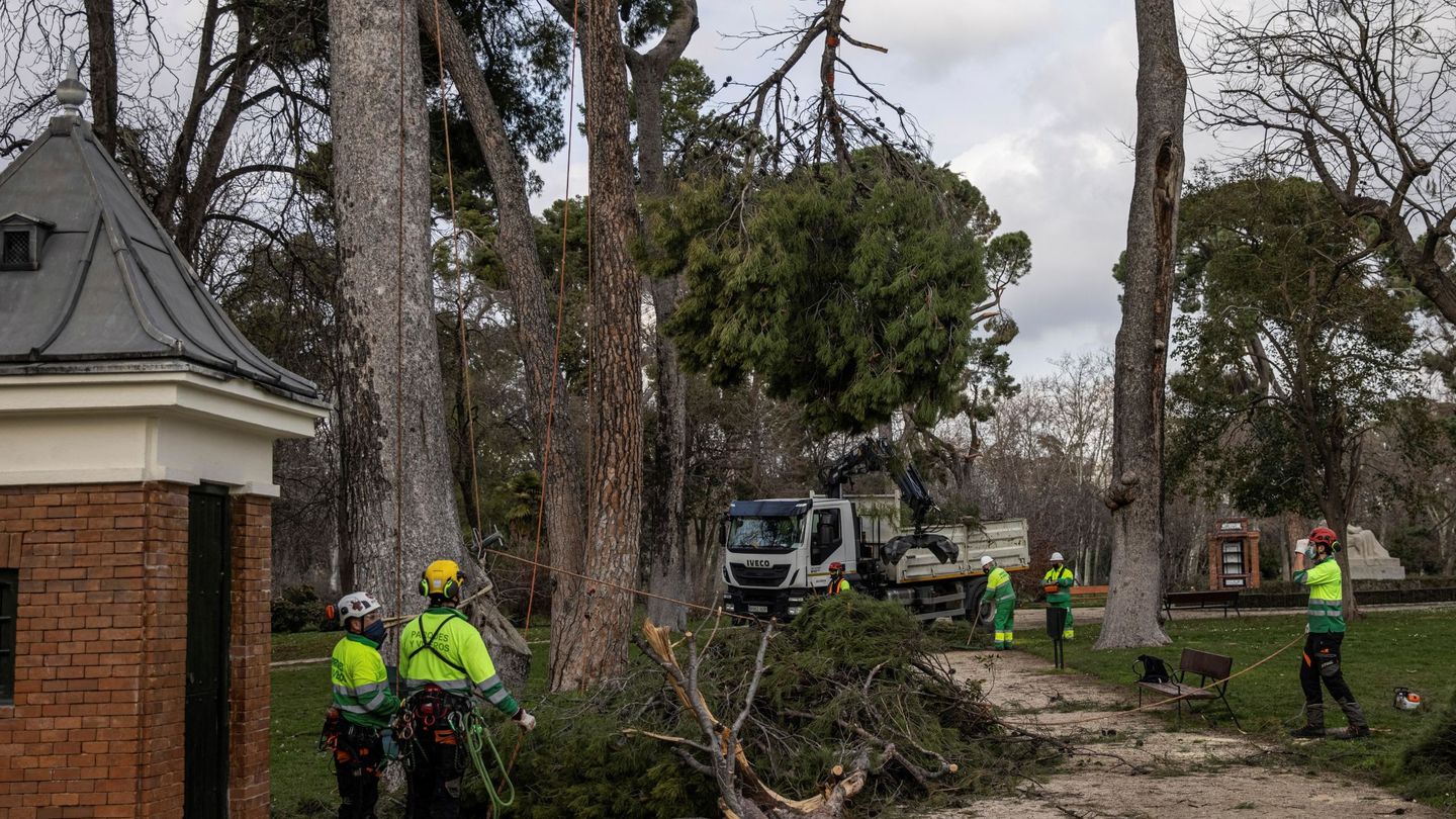 Daños en el arbolado del Parque de El Retiro tras el paso del temporal Filomena (EFE)