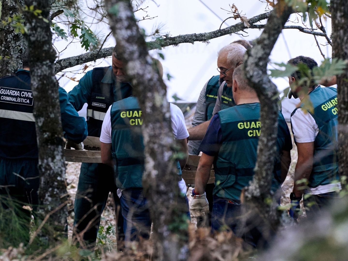 Agentes de la Guardia Civil y de Policía Nacional baten el terreno donde aparecieron restos de Juana Canal, en la zona de Navalacruz (Ávila). (EFE/Raúl Sanchidrián)