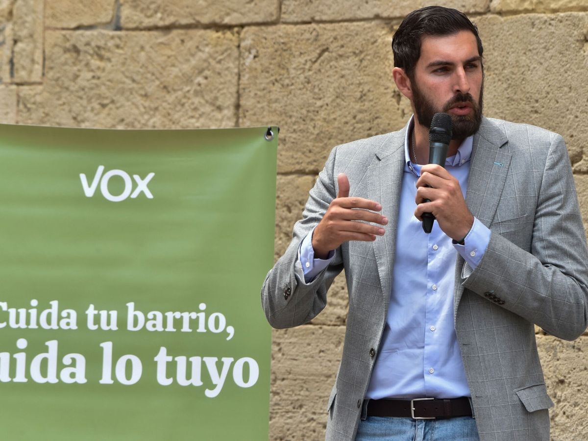 Foto: El presidente provincial de Vox, José Ángel Antelo. (EFE/Juan Carlos Caval)