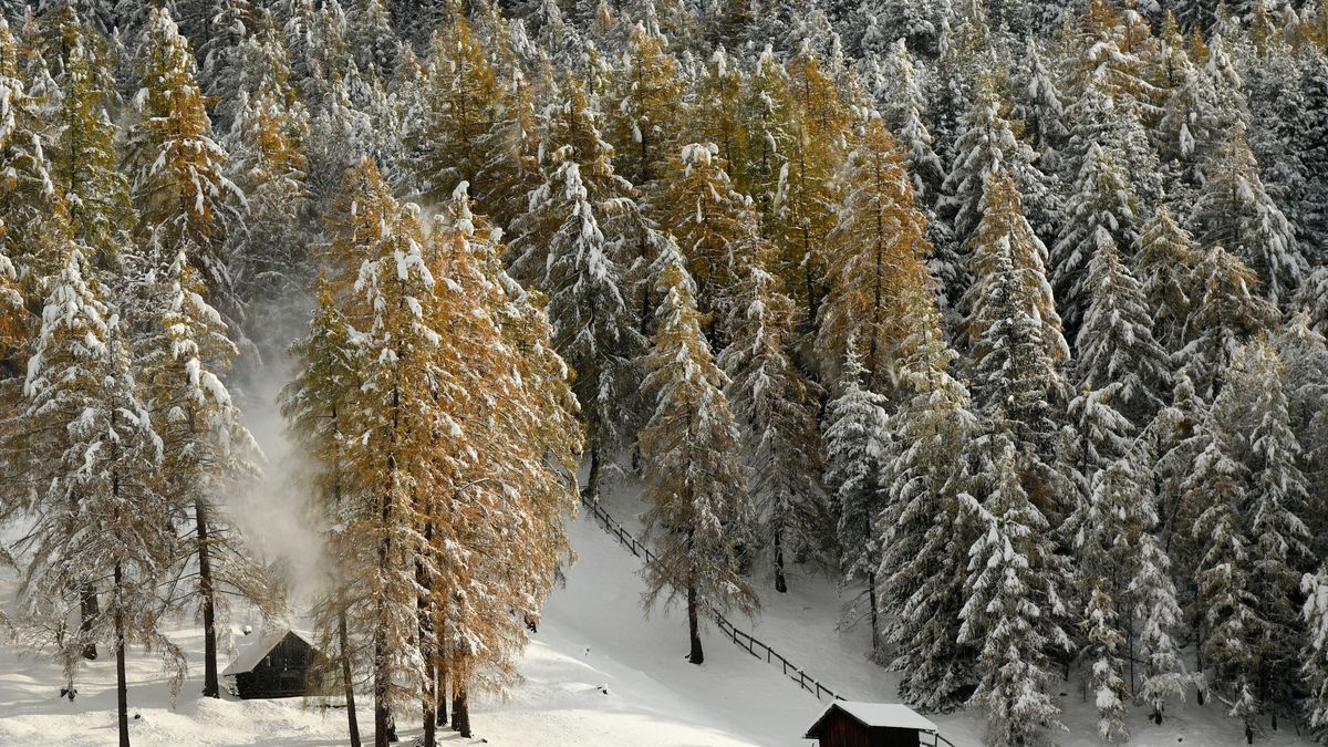 Al menos cinco muertos por un alud en el Tirol austriaco