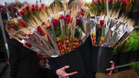 Conciertos, cócteles, meriendas y rumba en un Sant Jordi en Barcelona de libros y rosas  