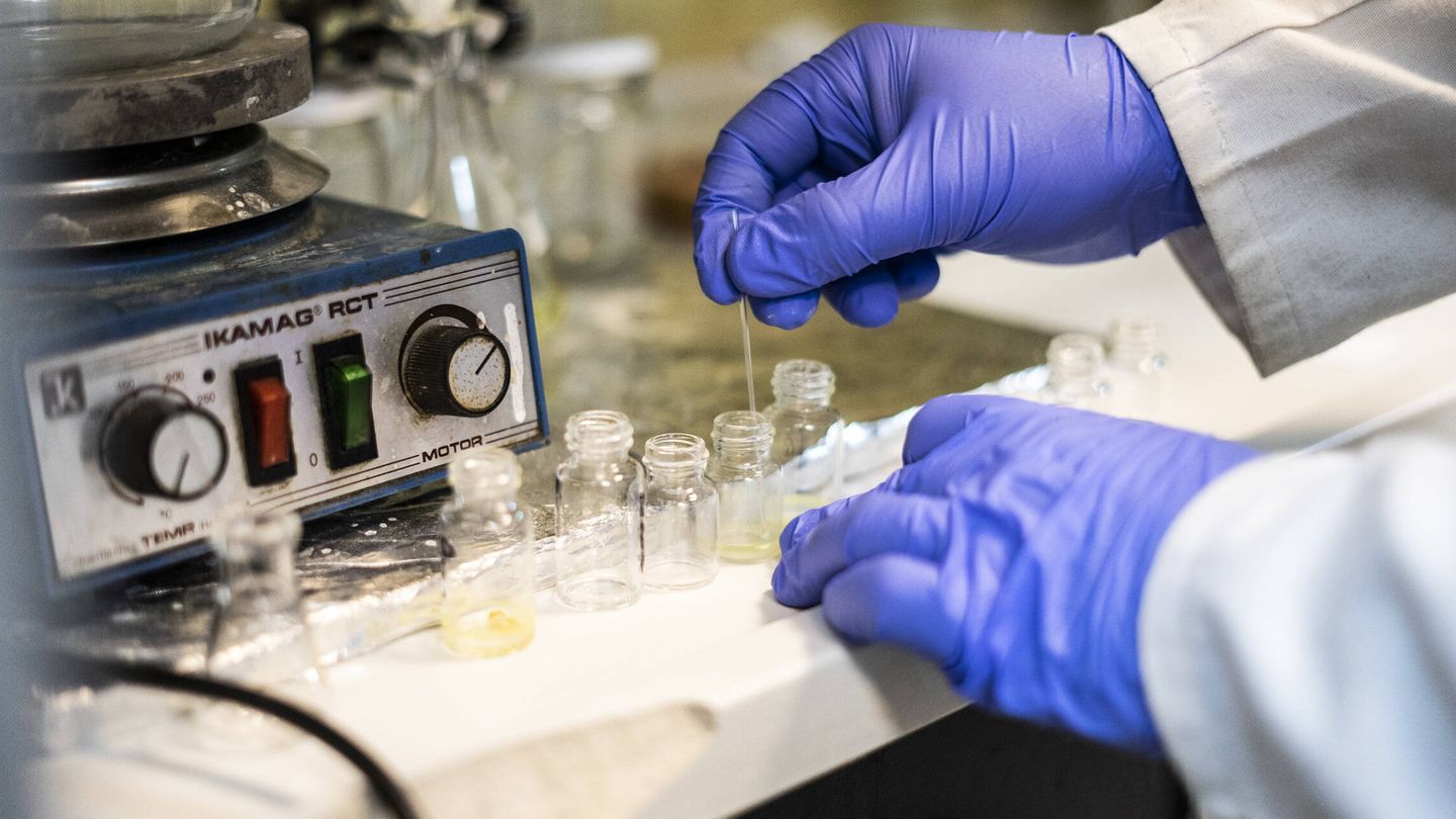 Un investigador del Centro de investigaciones Biológicas del CSIC toma muestras en el laboratorio. (A. B.)