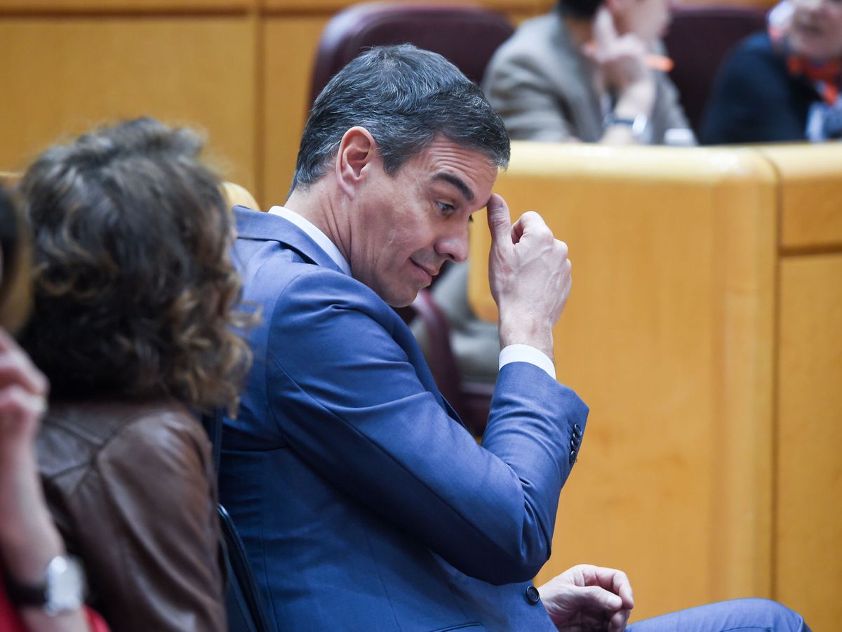 Foto: El presidente del Gobierno, Pedro Sánchez, durante una sesión de control al Gobierno. (Europa Press/Gustavo Valiente)