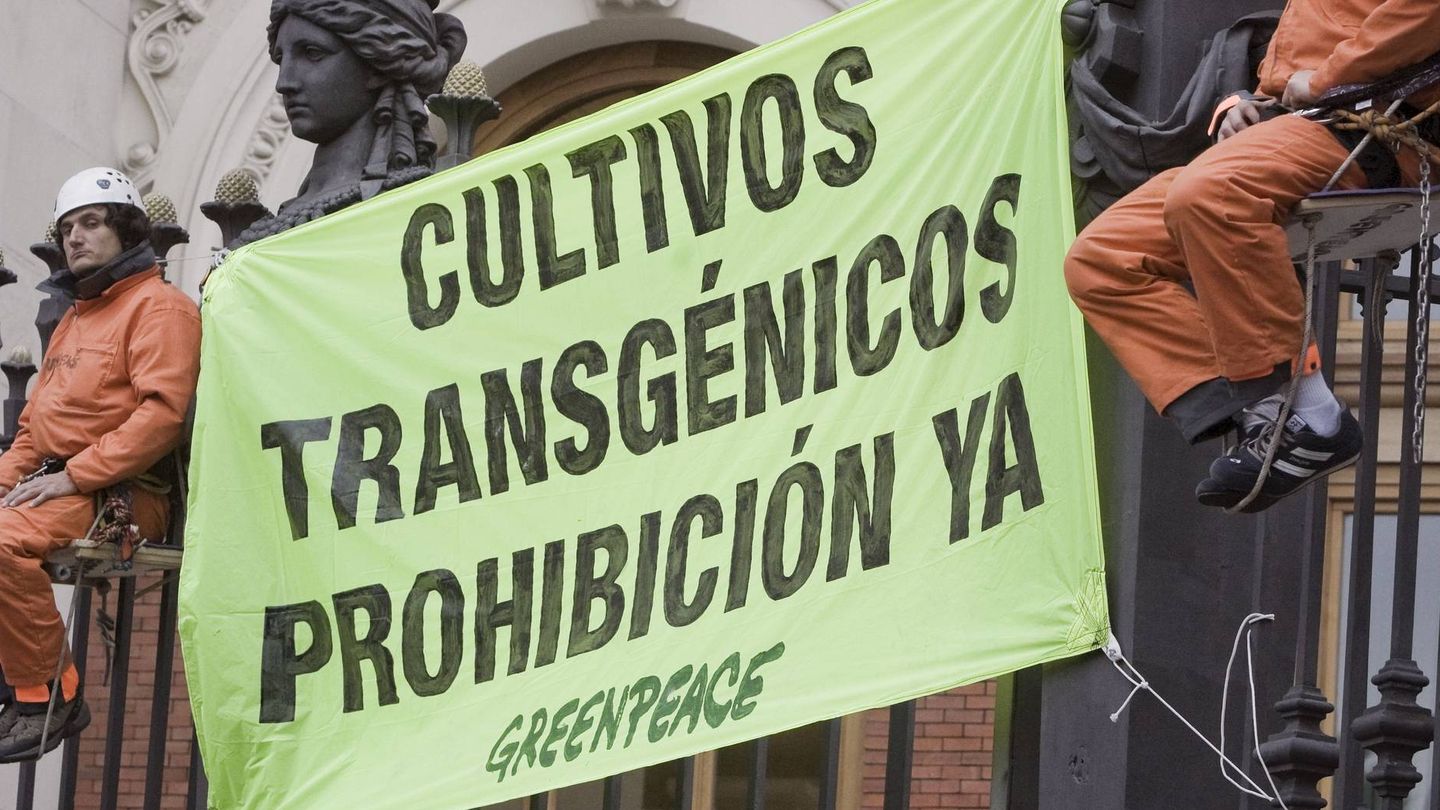 Greenpeace se manifiesta contra los transgénicos. (Efe)