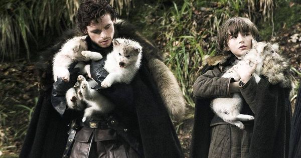 Foto: Robb y Bran Stark, con algunos lobos de cachorros. (HBO)