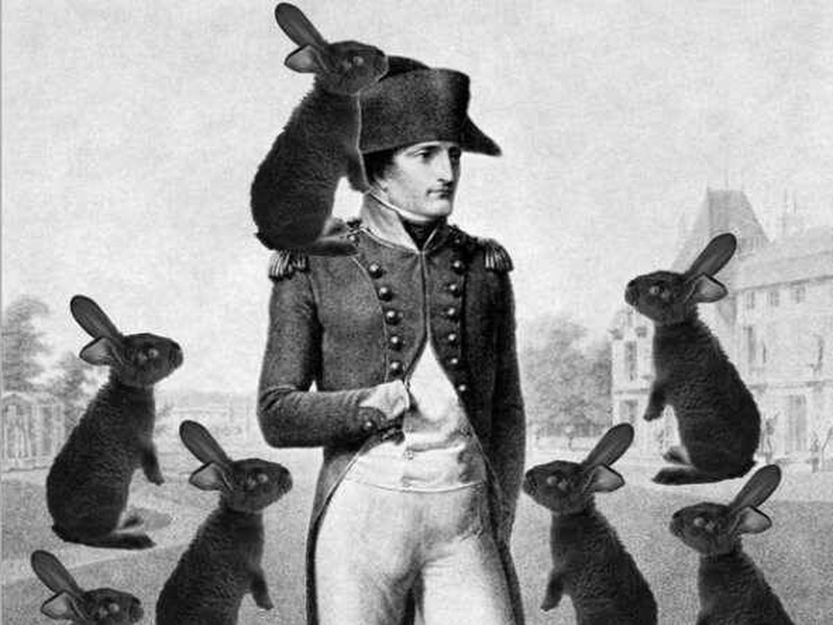 Foto: Recreación de Napoleón con conejos. (Inciclopedia, libre de derechos)