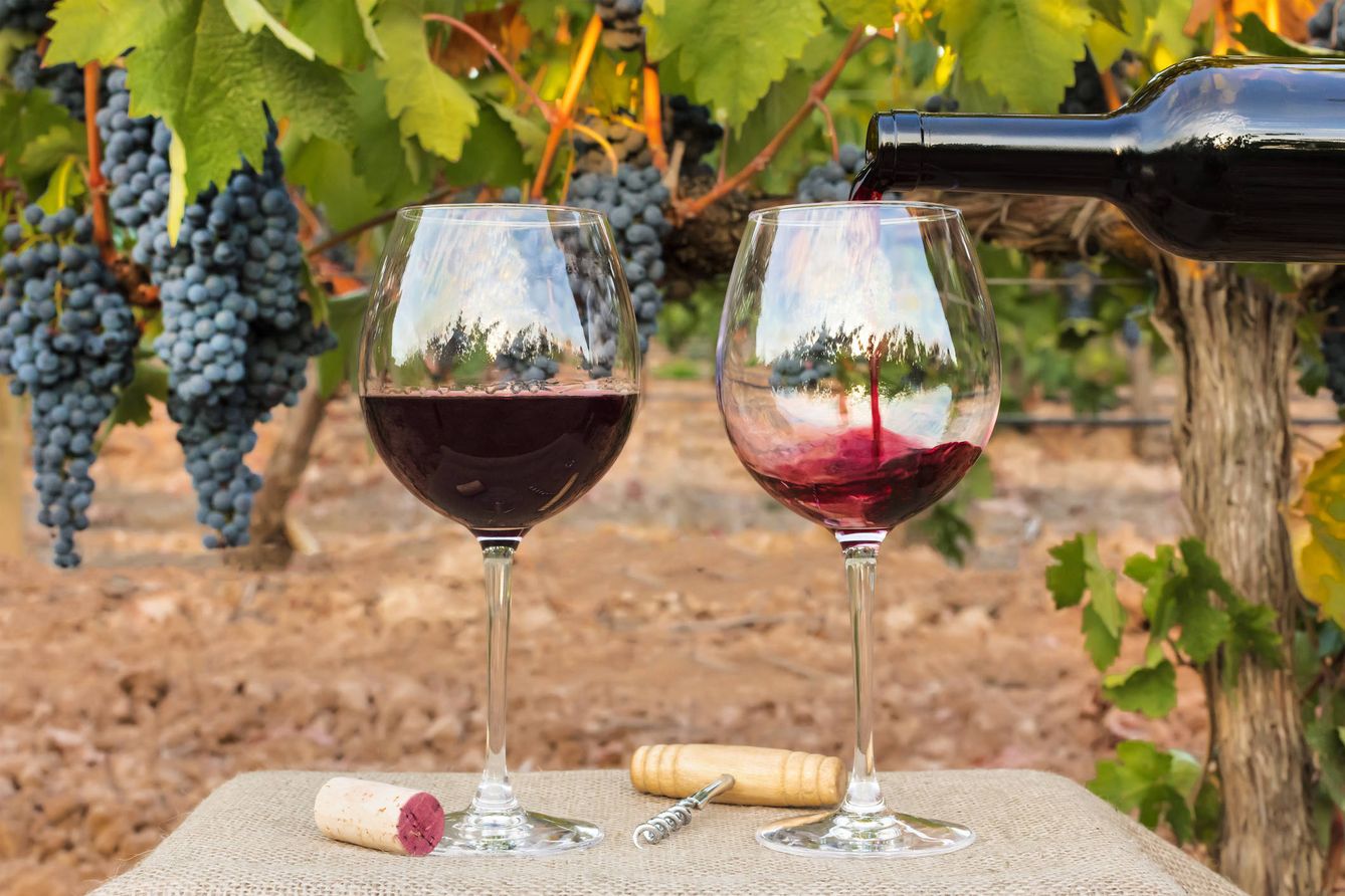 Los vinos españoles sufrirán los efectos del cambio climático. (iStock)