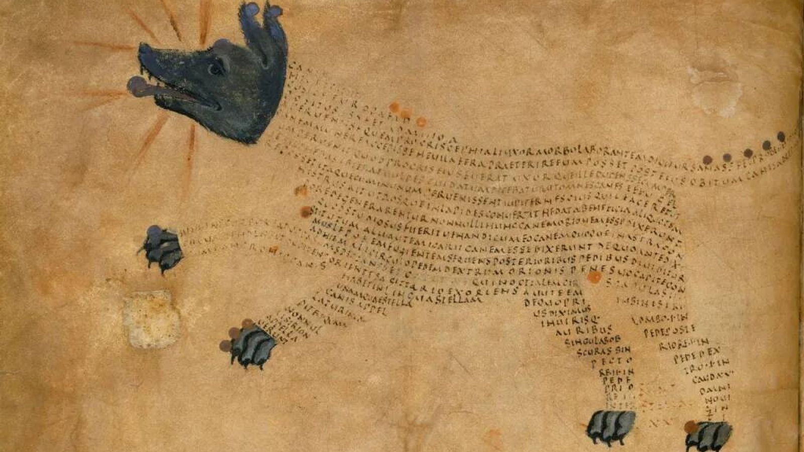 La constelación de Sirius the Dog Star en el manuscrito medieval de Cotton MS Tiberius. (Wikimedia)