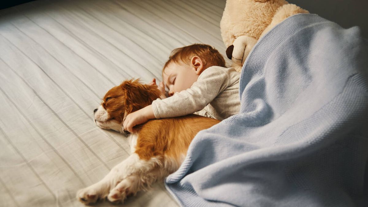 ¿Mascotas y bebés en casa? Consejos prácticos para una buena convivencia