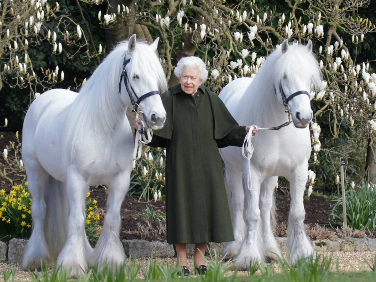 Foto: La reina Isabel, en una imagen reciente. (Buckingham Palace)