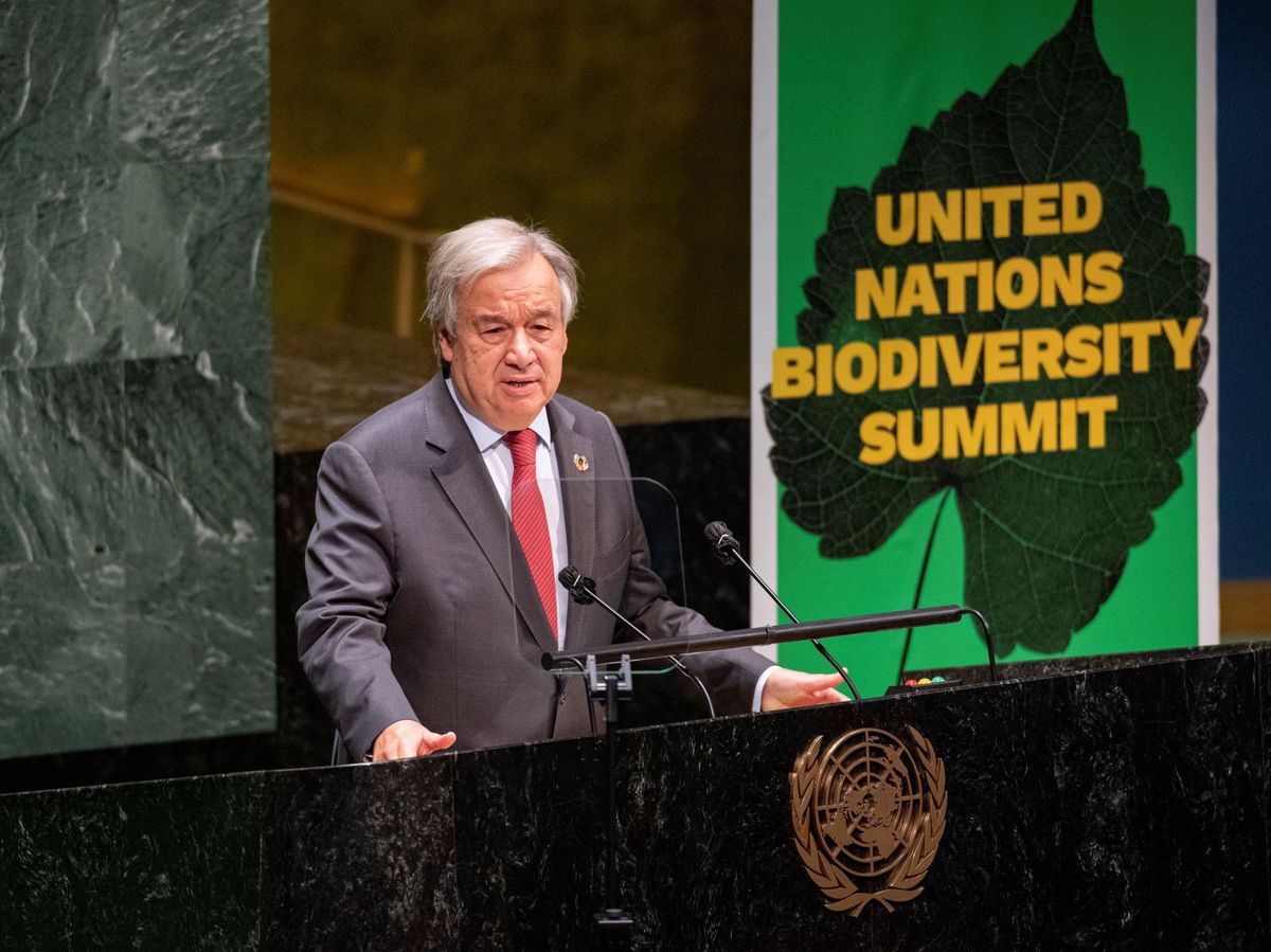 Foto: El Secretario General de las Naciones Unidas, António Guterres, en una cumbre de biodiversidad. Foto: EFE