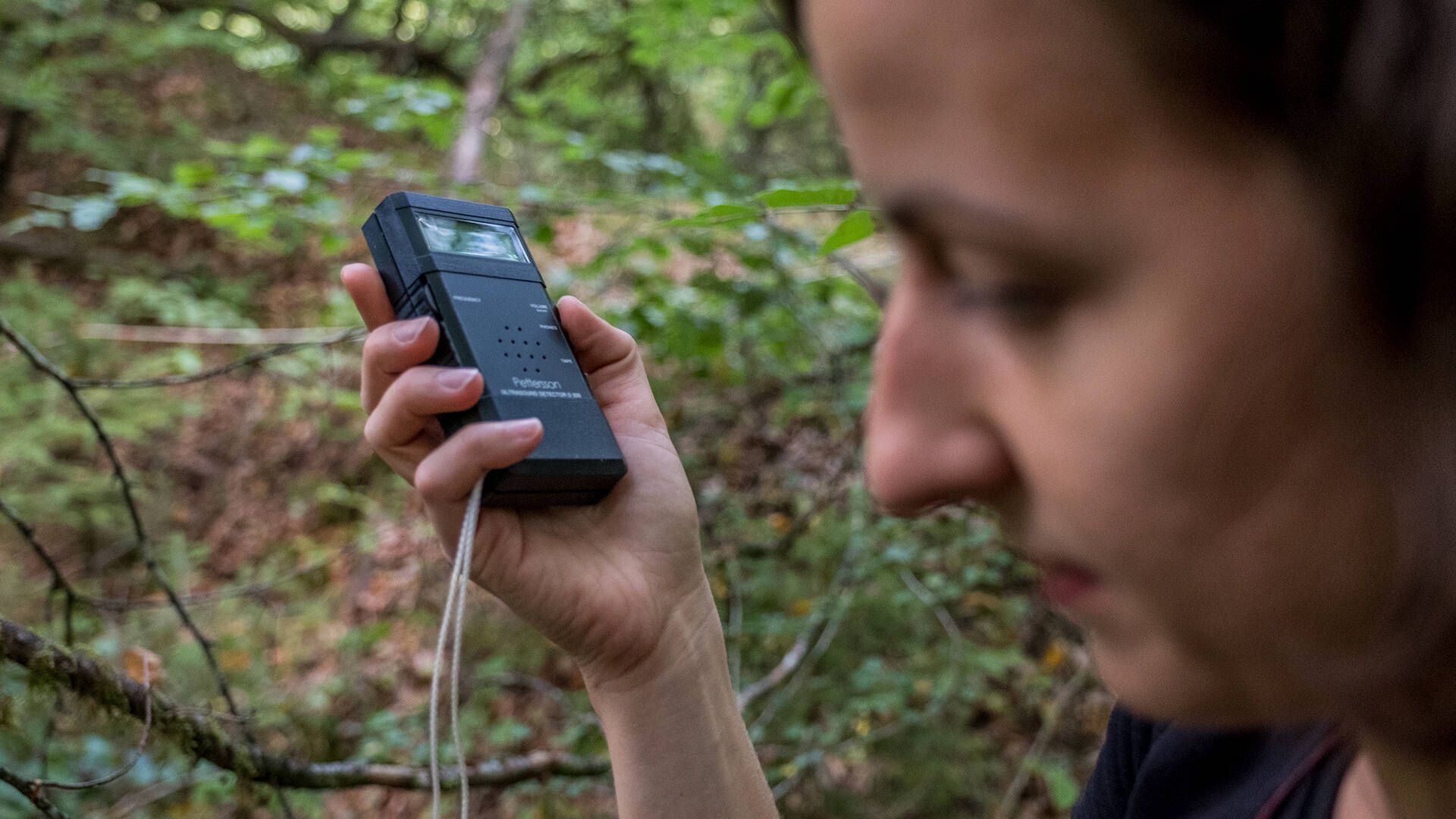 Lisa Reiss, de la Universidad de Trier, con un detector de ultrasonidos para escuchar a los grillos. (S. D.)