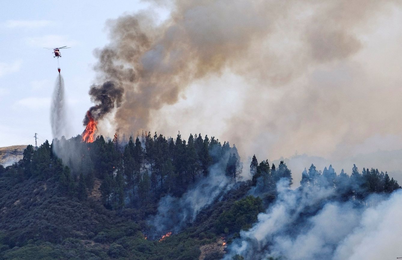 Vista del incendio forestal. (EFE)