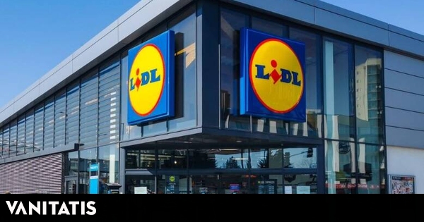 La planta de Lidl perfecta para colocar en el salón: incluye maceta, de ...