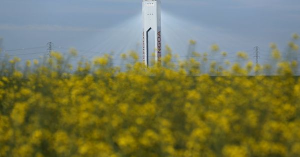 Foto: Una torre en una planta solar de Abengoa en Sevilla (España). (Reuters)