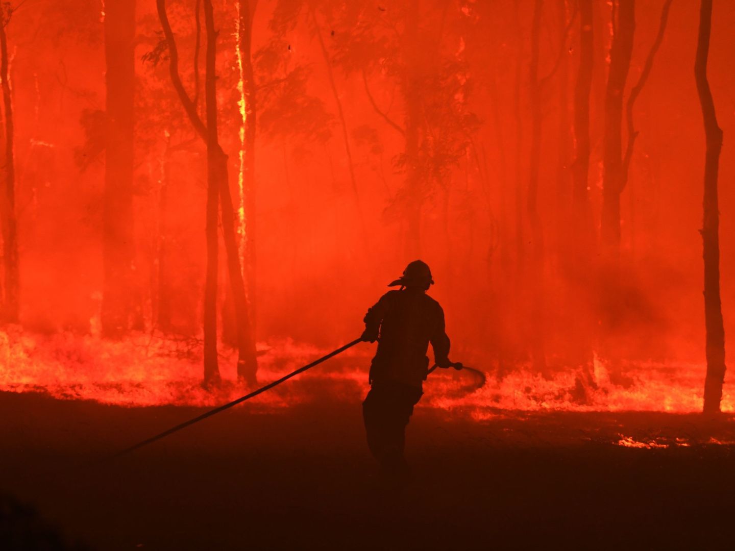 Incendio en Australia. (Reuters)