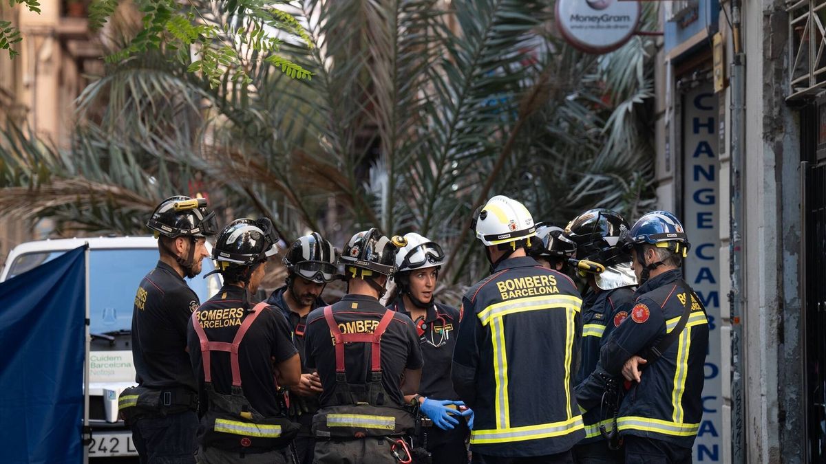 Muere una joven de 20 años al caerle encima una palmera en el barrio del Raval de Barcelona